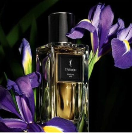 Trench Yves Saint Laurent للجنسين